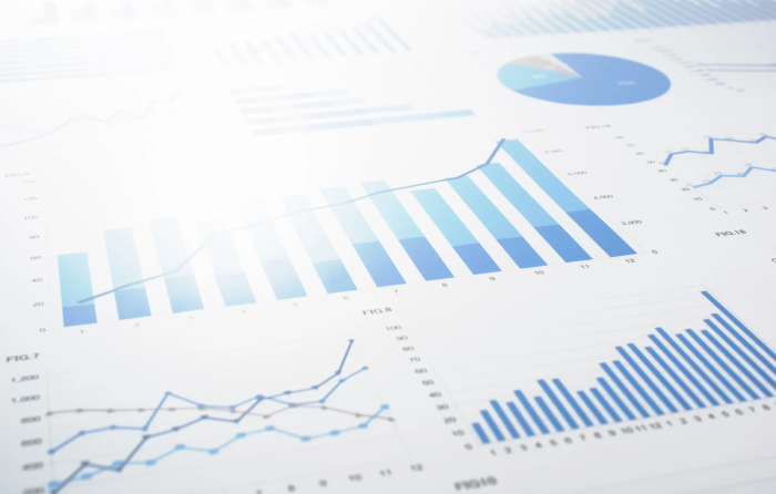 Microsoft Fabric Pocket Phone